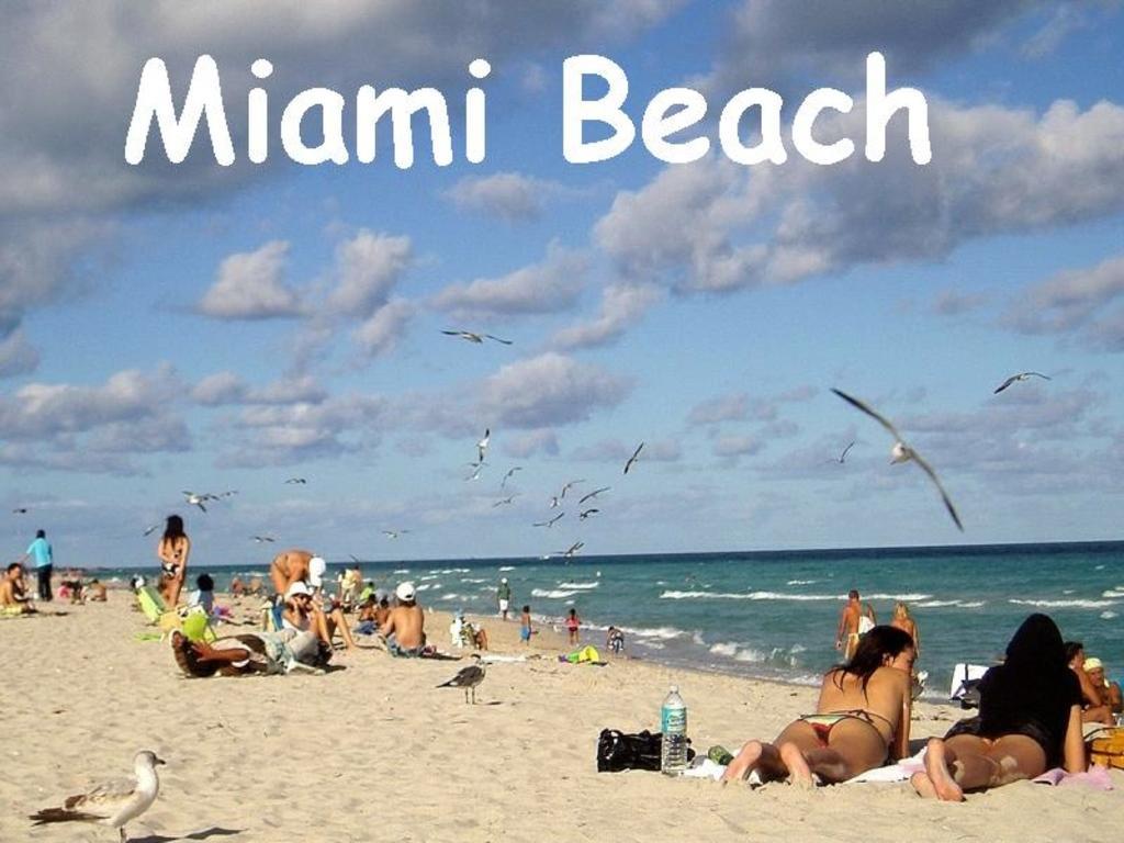 Bikini Lodge (Adults Only) Miami Beach Szoba fotó