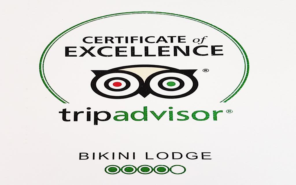 Bikini Lodge (Adults Only) Miami Beach Kültér fotó